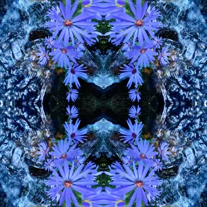 Creekside Petals - Spring/Summer 2022