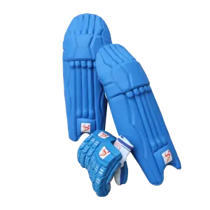 DS Blue Cricket Pads & Gloves Set