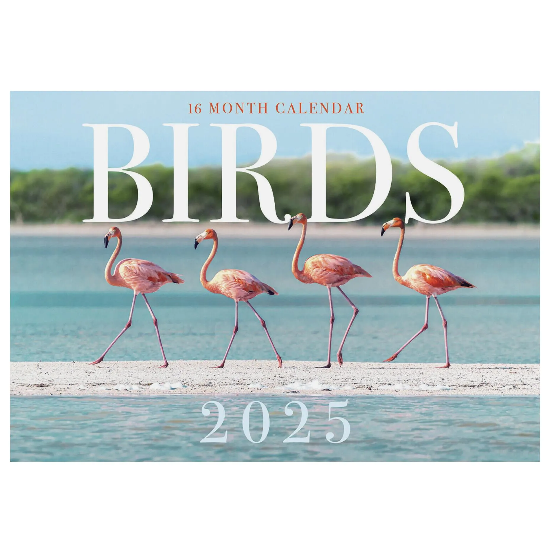 She Loves a Calendar